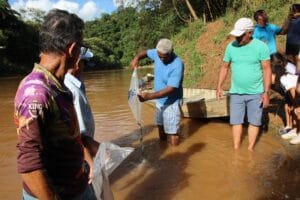 CONSCIENTIZAÇÃO E PRESERVAÇÃO: PROJETO DE PEIXAMENTO SOLTA 11 MIL PEIXES NO RIO SÃO FRANCISCO