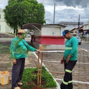 PIUMHI AVANÇA NA ARBORIZAÇÃO URBANA COM PLANTIO DE NOVAS ÁRVORES EM DIVERSAS REGIÕES DA CIDADE