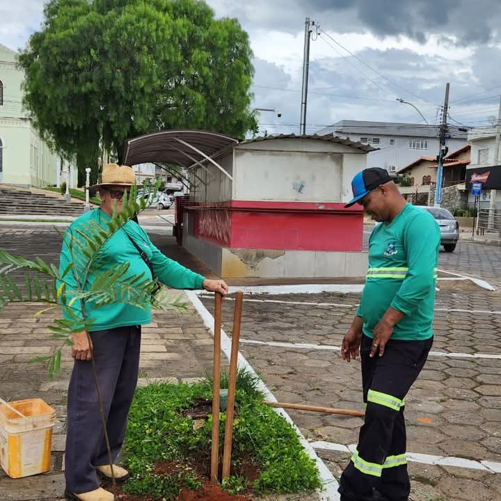 PIUMHI AVANÇA NA ARBORIZAÇÃO URBANA COM PLANTIO DE NOVAS ÁRVORES EM DIVERSAS REGIÕES DA CIDADE PIUMHI AVANÇA NA ARBORIZAÇÃO URBANA COM PLANTIO DE NOVAS ÁRVORES EM DIVERSAS REGIÕES DA CIDADE